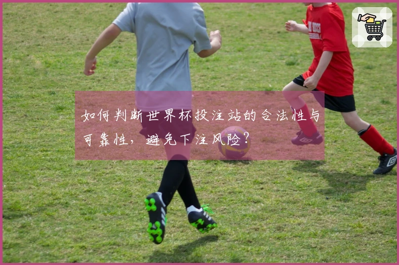 如何判断世界杯投注站的合法性与可靠性，避免下注风险？