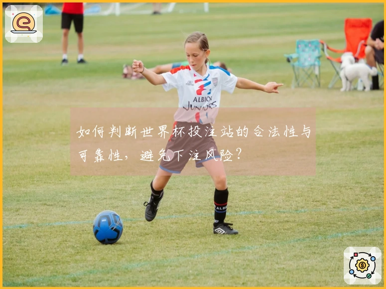 如何判断世界杯投注站的合法性与可靠性，避免下注风险？