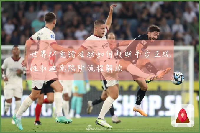 世界杯竞猜活动如何判断平台正规性和避免陷阱流程解读