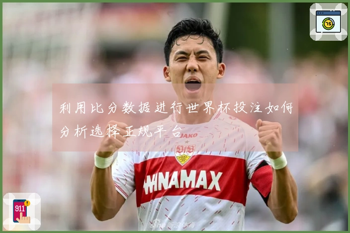 利用比分数据进行世界杯投注如何分析选择正规平台